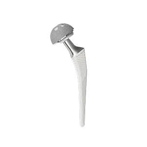 Joint replacement - hip and knee joint implants